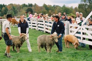 Support the Country Faire!