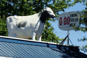 Rio Linda Cow