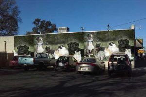 Rio-Linda-Mural-Project