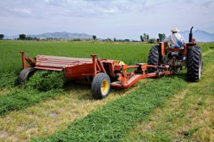 Farmer Cutting his Crop of Hay.