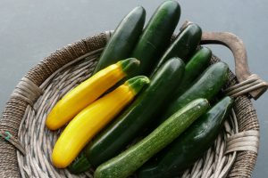 zucchini+2