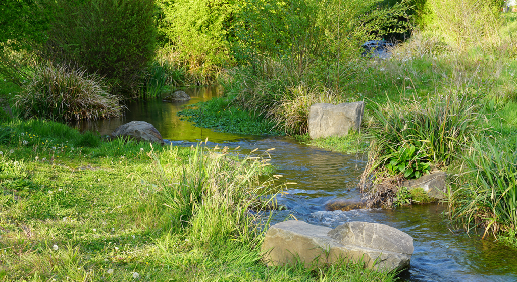 Apply Now: Sacramento County Offering Grants for Water Protection Efforts