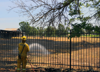 Community Efforts in Weed Abatement Enhance Fire Safety in Sacramento
