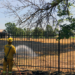 Community Efforts in Weed Abatement Enhance Fire Safety in Sacramento