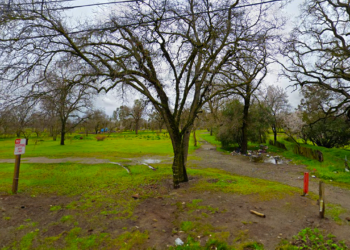 Governor Newsom Orders Sweeps of Homeless Camps