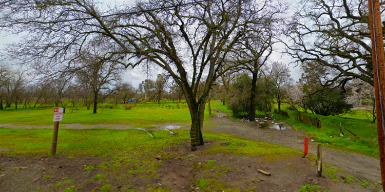 Governor Newsom Orders Sweeps of Homeless Camps