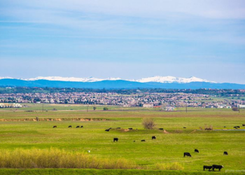 Placer County to Spray for Mosquitos Aug 14 and 15