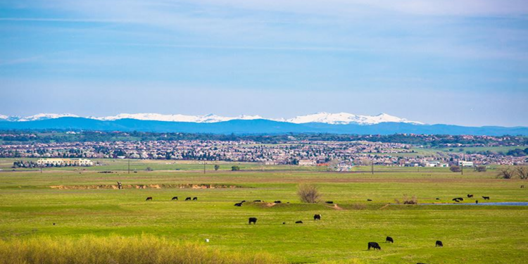 Placer County to Spray for Mosquitos Aug 14 and 15