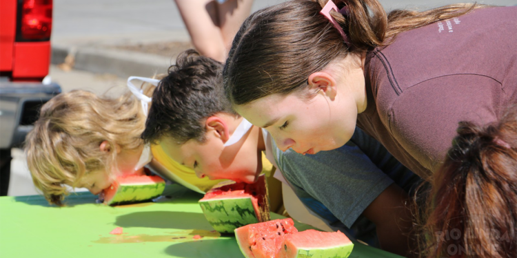 2024 Rio Linda Elverta Country Faire