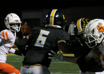 Dixon Rams Host Rio Linda Knights in Key League Matchup