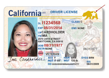 Don’t Get Ghosted by Travel Security: Apply for Your REAL ID Now!