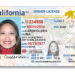 Don’t Get Ghosted by Travel Security: Apply for Your REAL ID Now!