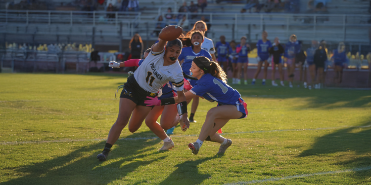 Knights Clash with Cougars in High-Stakes Semifinal