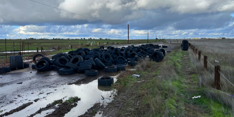 Sac County Regional Park Rangers Bust Illegal Tire Dumping Operation