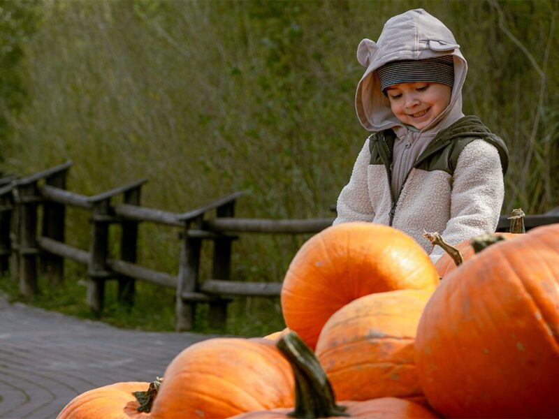 Boddie Family Boxing Academy Rings in Fall with Community Events
